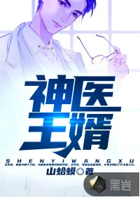 《神医王婿》小说封面