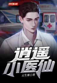 《逍遥小医仙》小说封面