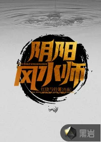 《阴阳风水师》小说封面