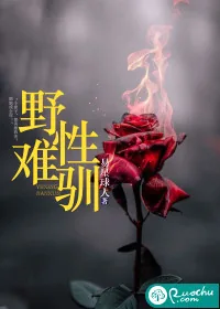 《野性难驯》小说封面