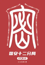 《国安十二分局》小说封面