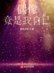 《偶像竟是我自己》小说封面