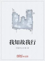 《我知故我行》小说封面