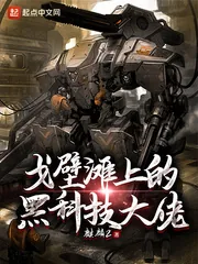 《戈壁滩上的黑科技大佬》小说封面