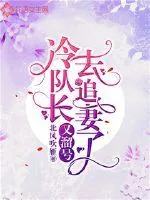 《冷队长又溜号去追妻了》小说封面