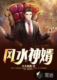 《风水神婿》小说封面