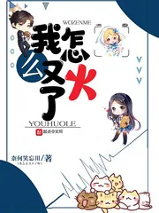 《我怎么又火了》小说封面