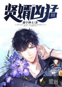 《贤婿凶猛》小说封面
