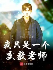 《我只是一个支教老师》小说封面