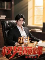 《重生：权势巅峰》小说封面