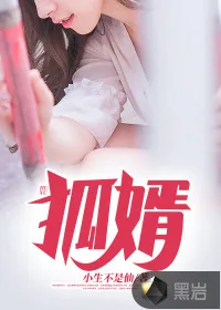 《狐婿》小说封面
