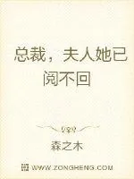 《总裁，夫人她已阅不回》小说封面