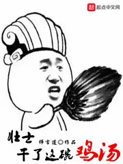 《壮士，干了这碗鸡汤》小说封面