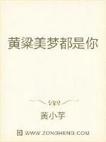 《黄粱美梦都是你》小说封面