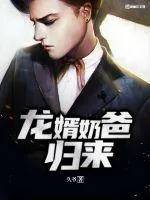 《龙婿奶爸归来》小说封面