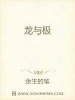 《龙与极》小说封面
