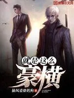 《就是这么豪横》小说封面