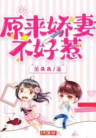 《原来娇妻不好惹》小说封面