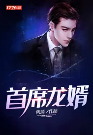 《首席龙婿》小说封面