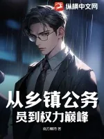 《从乡镇公务员到权力巅峰》小说封面