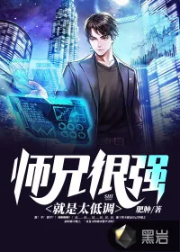 《师兄很强就是太低调》小说封面