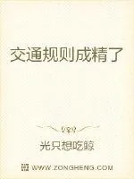 《交通规则成精了》小说封面