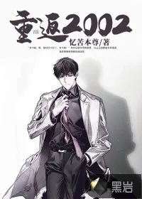 《重返2002》小说封面