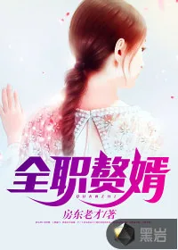 《全职赘婿》小说封面
