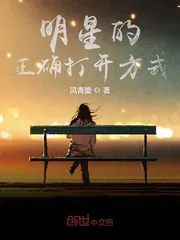 《明星的正确打开方式》小说封面