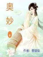 《奥妙0》小说封面
