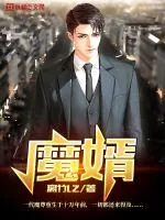 《魔婿》小说封面