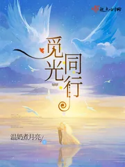 《觅光同行》小说封面