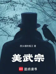 《美武宗》小说封面