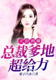 《天价妈咪：总裁爹地超给力》小说封面