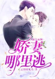 《前夫难缠：娇妻哪里逃》小说封面