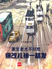 《重生老太不好惹，爆改儿孙一路发》小说封面