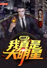 《摊牌了，我真是大明星》小说封面
