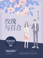 《玫瑰与百合》小说封面