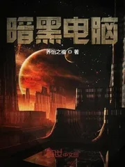 《暗黑电脑》小说封面