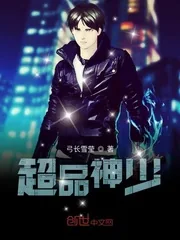 《超品神少》小说封面
