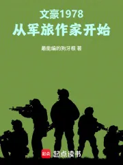 《文豪1978:从军旅作家开始》小说封面
