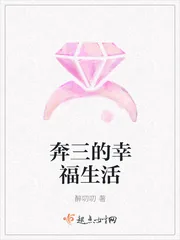 《奔三的幸福生活》小说封面