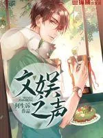 《文娱之声》小说封面