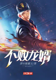 《不败龙婿》小说封面