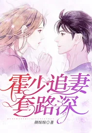 《霍少追妻套路深》小说封面