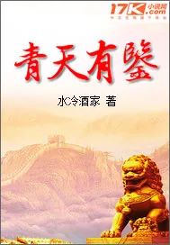 《青天有鉴》小说封面
