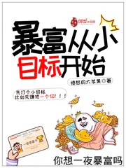 《暴富从小目标开始》小说封面
