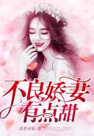 《不良娇妻有点甜》小说封面