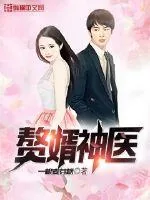 《赘婿神医》小说封面