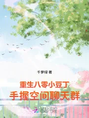 《重生八零小豆丁，手握空间聊天群》小说封面